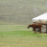 MONGOLIA IL CUORE NOMADE DELL’ ASIA